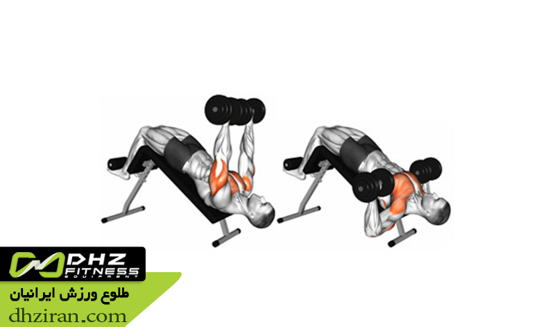 پرس سینه دمبل با شیب منفی 